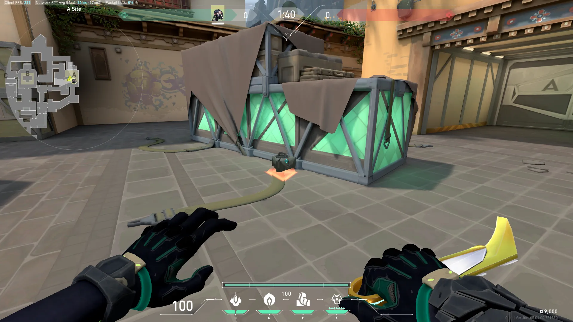 Viper Lineup for A Default Plant — Viper lineup on Haven